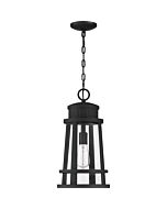 Quoizel Dunham 10 Inch Outdoor Hanging Light in Earth Black