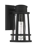 Quoizel Dunham 6 Inch Outdoor Hanging Light in Earth Black