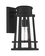 Quoizel Dunham 8 Inch Outdoor Hanging Light in Earth Black