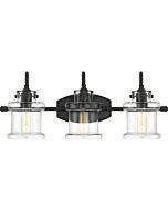 Quoizel Danbury 3 Light 10 Inch Bathroom Vanity Light in Earth Black