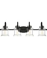 Quoizel Danbury 4 Light 10 Inch Bathroom Vanity Light in Earth Black