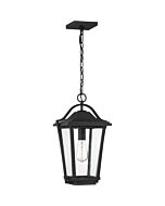 Quoizel Darius 11 Inch Outdoor Hanging Light in Earth Black