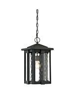 Quoizel Everglade 11 Inch Outdoor Hanging Light in Earth Black