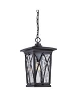 Quoizel Grover 11 Inch Outdoor Hanging Light in Mystic Black