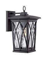 Quoizel Grover 9 Inch Outdoor Hanging Light in Mystic Black