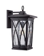 Quoizel Grover 11 Inch Outdoor Hanging Light in Mystic Black