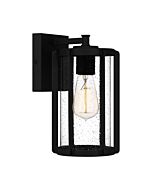 Quoizel One Light Outdoor Wall Mount Hazel in Earth Black