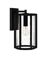 Quoizel One Light Outdoor Wall Mount Hazel in Earth Black