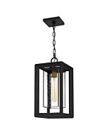 Infinger 1-Light Outdoor Hanging Lantern in Earth Black