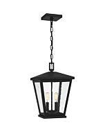 Joffrey 2-Light Outdoor Hanging Lantern in Matte Black