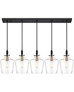 Quoizel June 5 Light 44 Inch Linear Chandelier in Earth Black