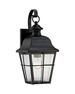 Quoizel Millhouse 15.5 Inch Outdoor Lantern in Mystic Black