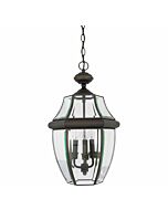 Quoizel Newbury 3 Light 13 Inch Outdoor Hanging Light in Medici Bronze