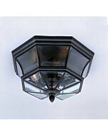 Quoizel Newbury 3 Light 15 Inch Outdoor Hanging Light in Mystic Black