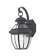 Quoizel Newbury 7 Inch Outdoor Hanging Light in Mystic Black