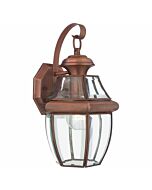 Quoizel Newbury 8 Inch Outdoor Hanging Light in Aged Copper