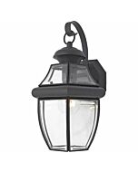 Quoizel Newbury 8 Inch Outdoor Hanging Light in Mystic Black