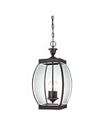 Quoizel Oasis 3 Light Outdoor Hanging Lantern in Bronze