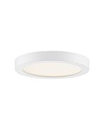 Quoizel Outskirts 8 Inch Round Ceiling Light in White Lustre