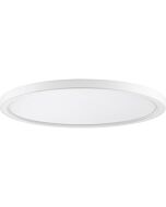 Quoizel Outskirts 20 Inch Ceiling Light in White Lustre