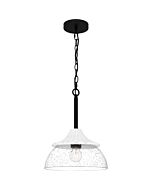 Otten 1-Light Pendant in Matte Black