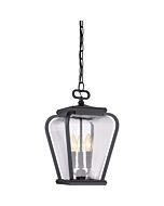 Quoizel Three Light Pendant Province in Mystic Black