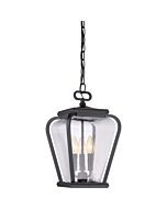 Quoizel Province 3 Light 10 Inch Outdoor Hanging Light in Mystic Black