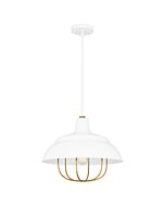 Darmody 1-Light Pendant in White