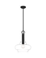 Pendant 1-Light in Mottled Black