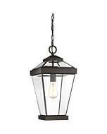 Quoizel Ravine 10 Inch Outdoor Hanging Light in Western Bronze