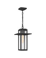 Randall 1-Light Mini Pendant in Mottled Black