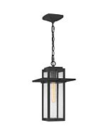 Randall 1-Light Outdoor Hanging Lantern in Mottled Black