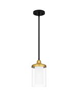 Quoizel One Light Mini Pendant Rowland in Matte Black