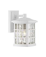 Quoizel Stonington 7 Inch Outdoor Wall Lantern in White Lustre