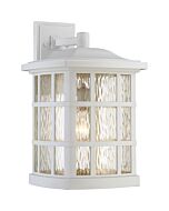 Quoizel Stonington 11 Inch Outdoor Wall Light in White Lustre