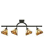 Quoizel Asheville 4 Light 44 Inch Track Lighting in Valiant Bronze