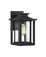 Quoizel Wakefield 7 Inch Outdoor Hanging Light in Earth Black