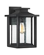 Quoizel Wakefield 9 Inch Outdoor Hanging Light in Earth Black